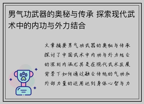 男气功武器的奥秘与传承 探索现代武术中的内功与外力结合