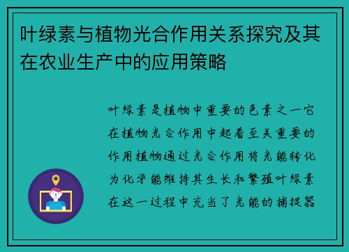 叶绿素与植物光合作用关系探究及其在农业生产中的应用策略