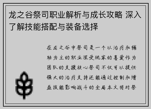 龙之谷祭司职业解析与成长攻略 深入了解技能搭配与装备选择