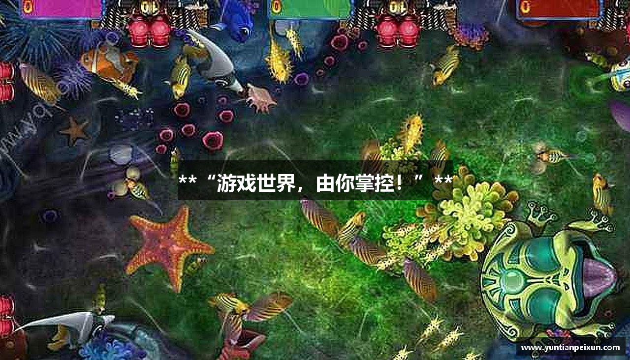 **“游戏世界，由你掌控！”**